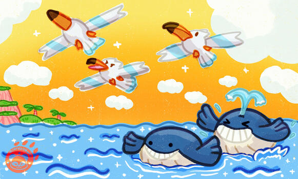 pokemon - wingull, wailmer